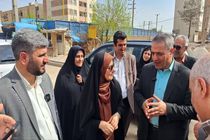 وزیر راه و شهرسازی از پروژه‌های عمرانی ورامین بازدید کرد