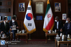 دیدار نخست وزیر کره جنوبی با علی لاریجانی