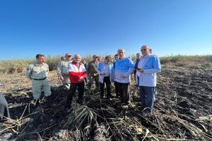 بازدید هوایی و میدانی استاندار گیلان از تالاب بین المللی انزلی و امیرکلایه لاهیجان