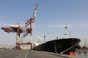 ورود محموله‌ی دام زنده به بندر شهید رجایی/3 هزار و 600 تن دام زنده راهی کشتارگاه‌ها شد