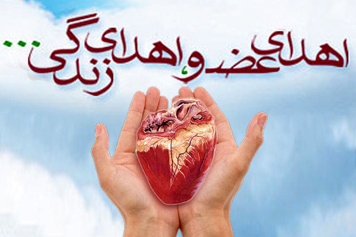 اهدا کننده عضو گیلانی در سال 97