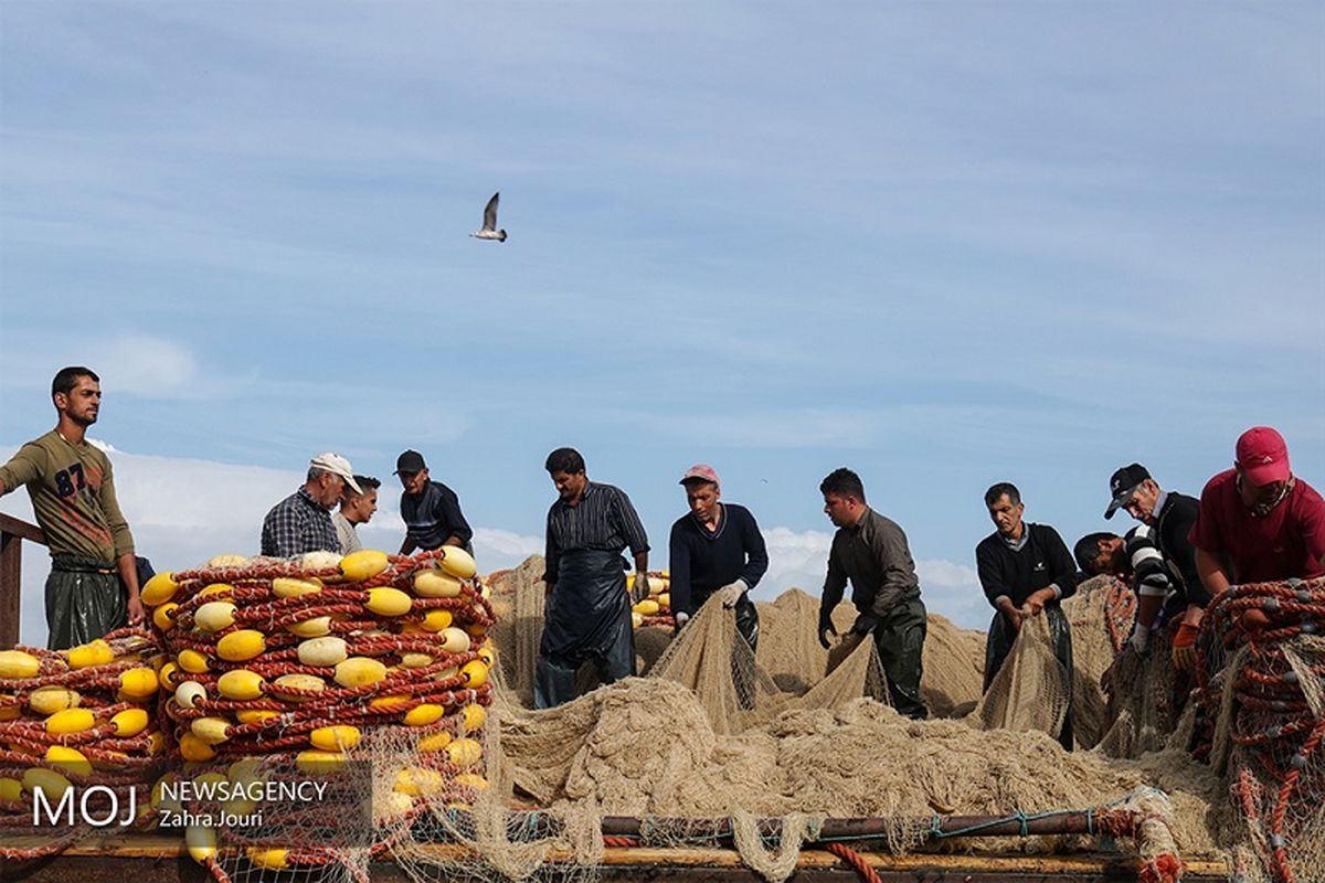 تخلفات صیادی در هرمزگان