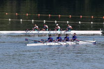 سفر مربی رومانیایی رویینگ به کیش