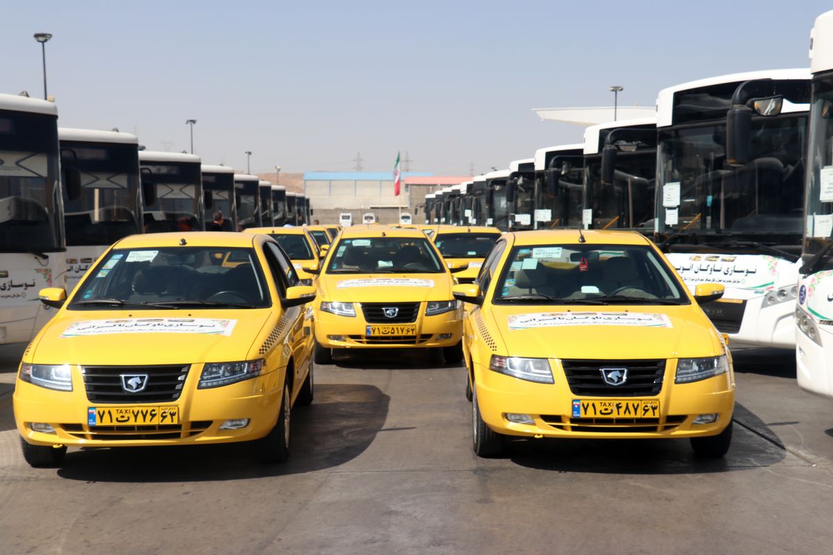 شهرداری شیراز 