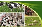 حضور نمایندگان 16 شرکت خارجی در نمایشگاه دام و طیور تهران / تور بازدید برای دانشجویان طراحی شده است