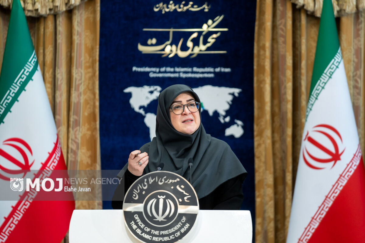 فاطمه مهاجرانی + سخنگوی دولت