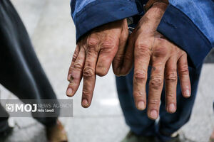 کلاهبرداری هزار میلیاردی از ۱۲۰۰ نفر در قالب صندوق خانگی دستگیر شد