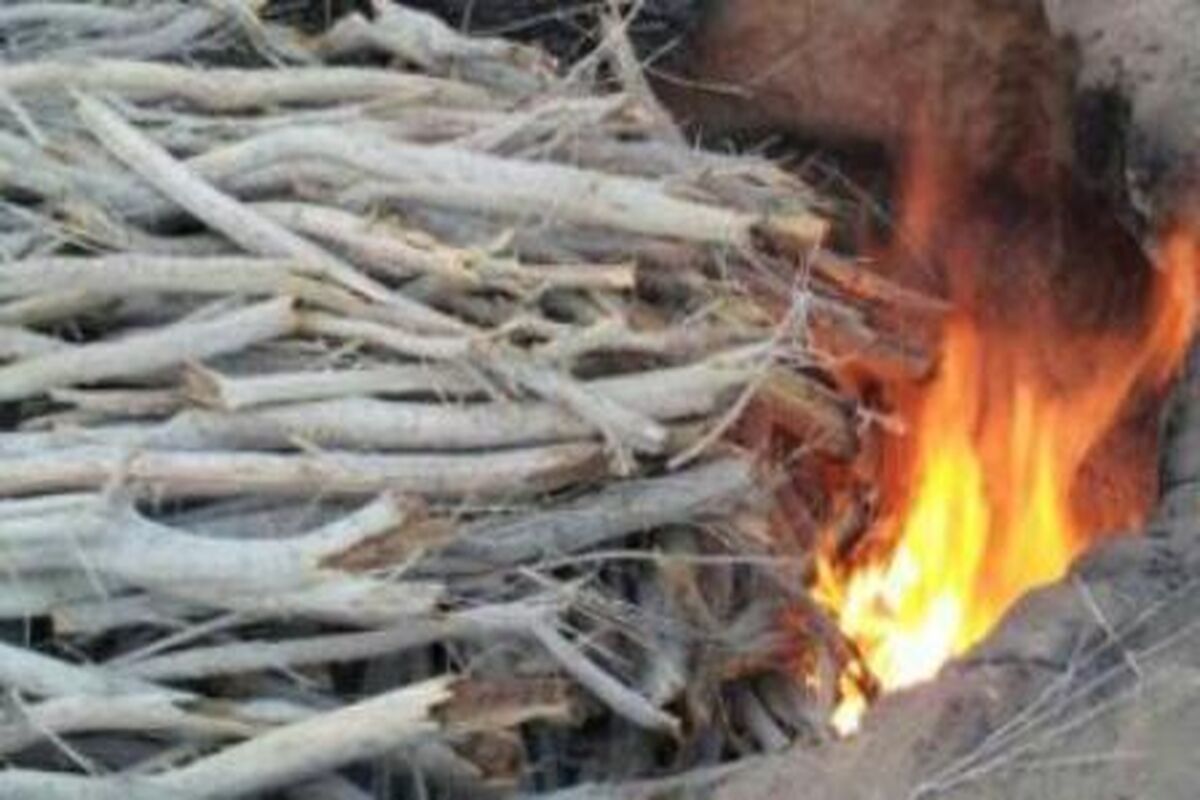تخريب  كوره ذغال سازی غیرمجاز