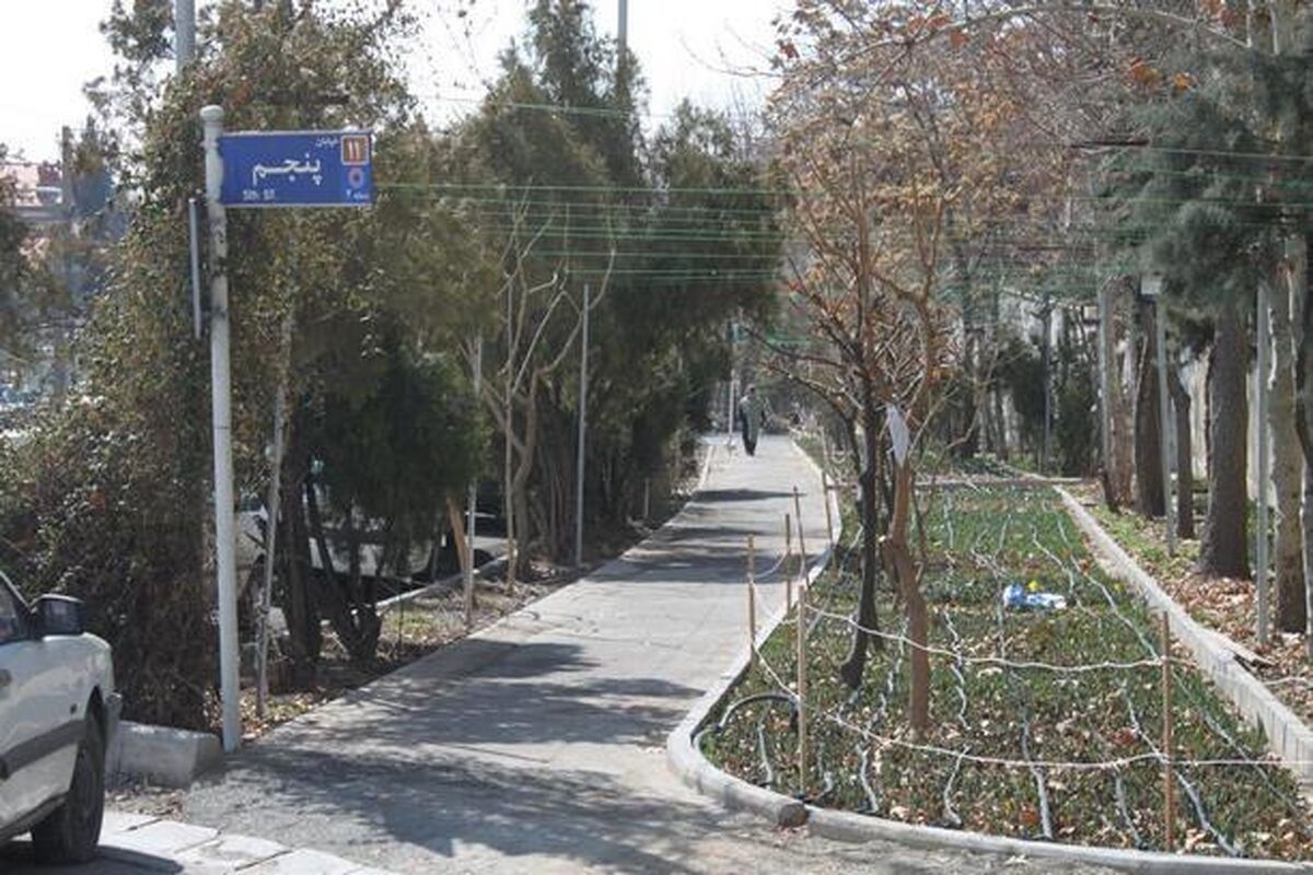 درخت