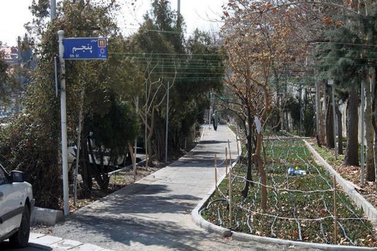 درخت