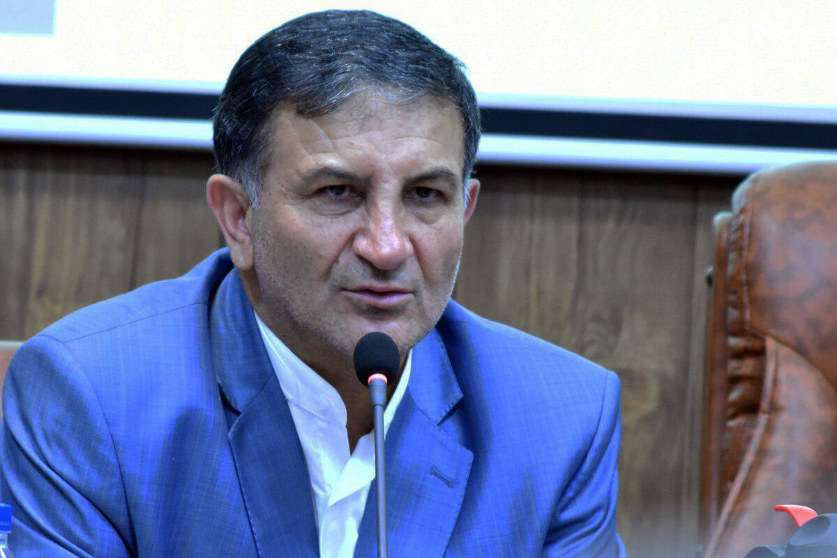 صالحی نسب