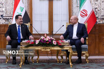 دیدار نخست وزیر عراق با رئیس مجلس شورای اسلامی