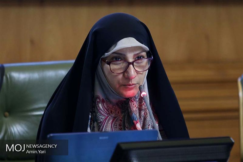 سیل برای تهران غیرقابل پیشبینی است/ نباید آن را دست کم بگیریم
