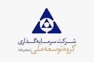 گروه توسعه ملی یک چند رشته ای فعال با کارنامه ای جذاب