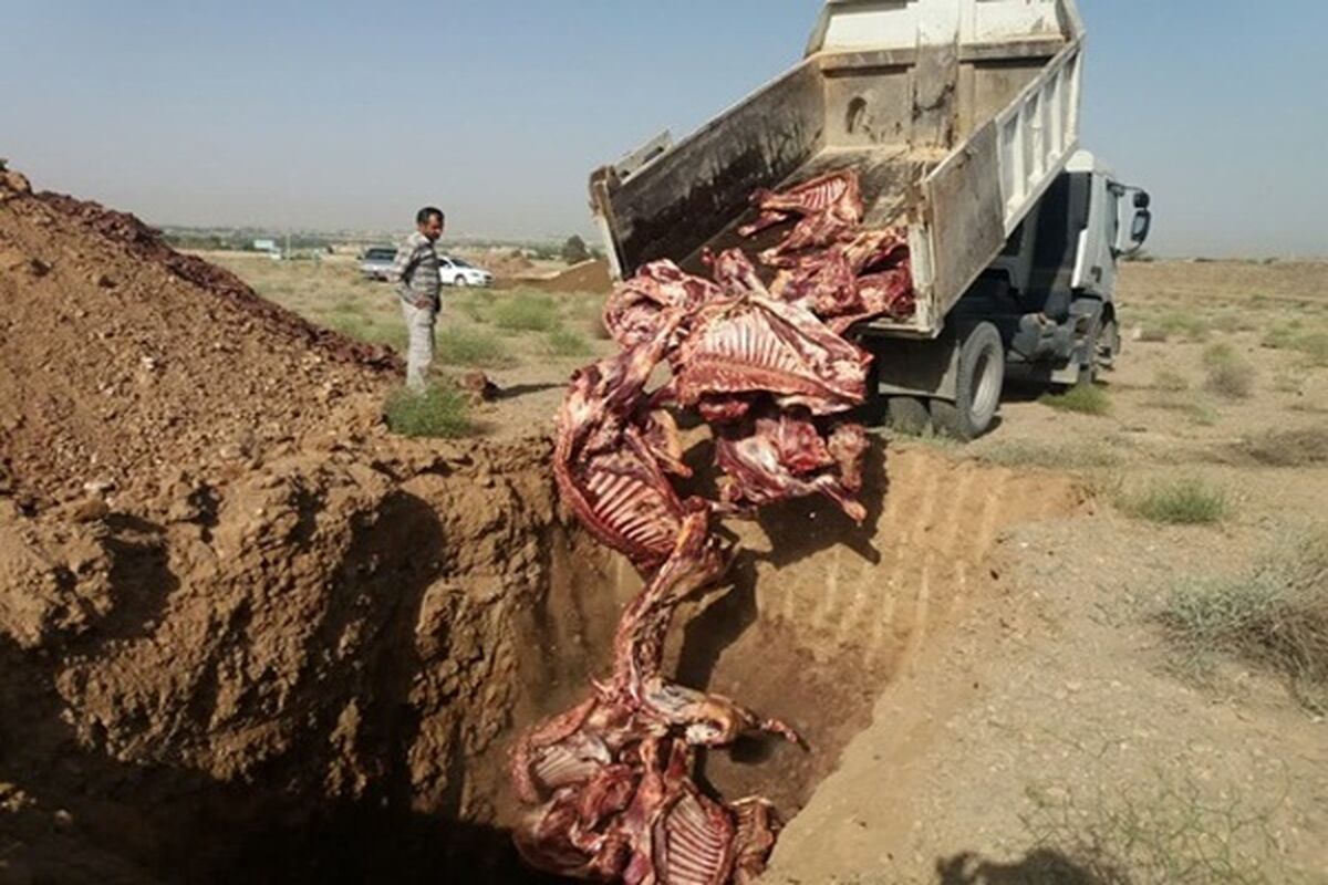 معدوم سازی