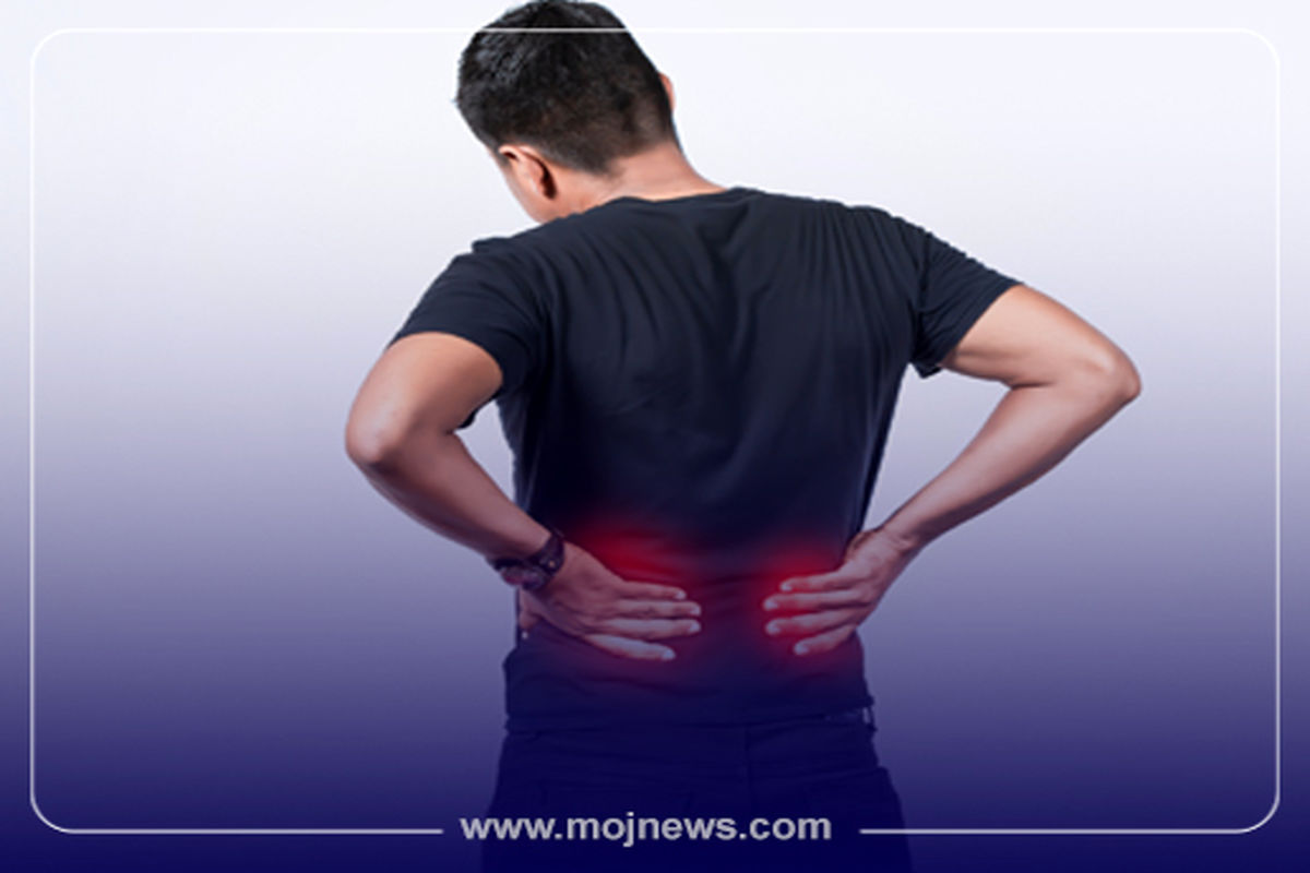 کاور دیسک کمر موج