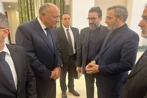 Unprecedented travel of Egypt's FM to Iran