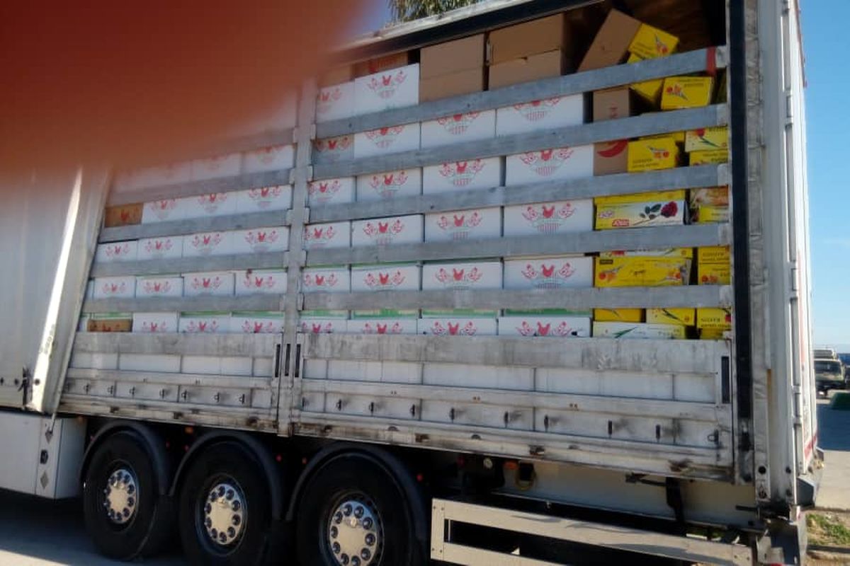 کشف تخم مرغ قاچاق در مرز مهران