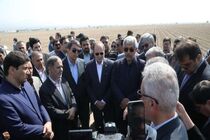 مجتمع‌های کشت و صنعت باید محور انتقال دانش به کشاورزان باشند