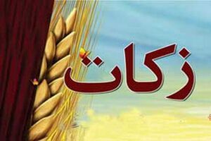 مردم را با مسائل و جزییات زکات آشنا کنید