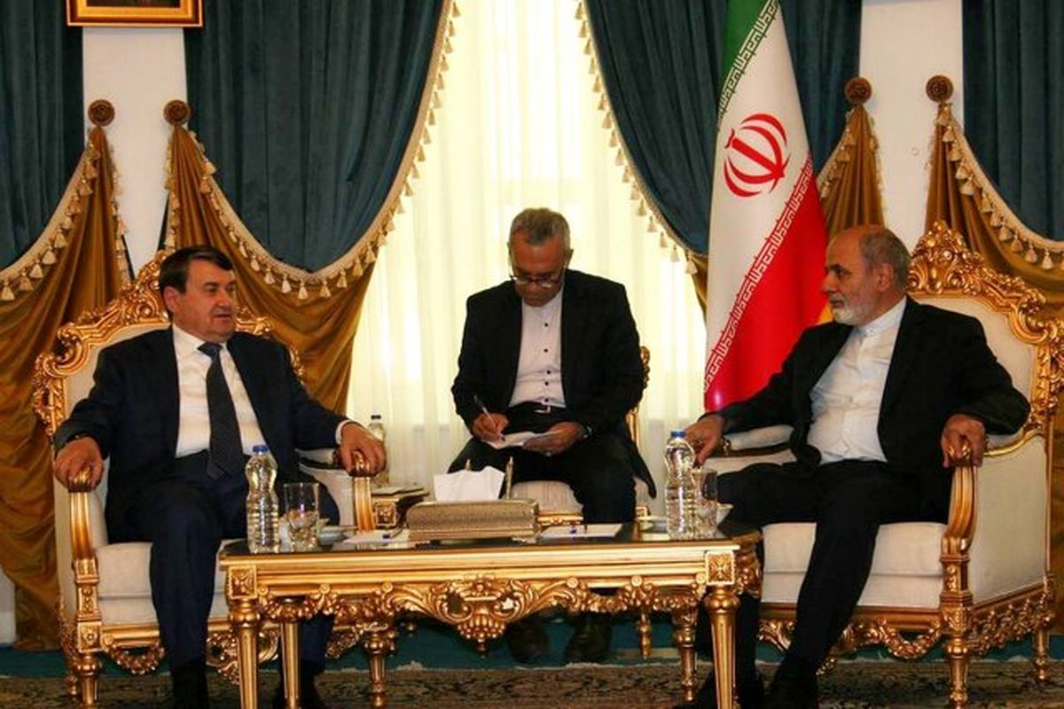 دبیر شورای عالی امنیت ملی در دیدار دستیار ویژه پوتین