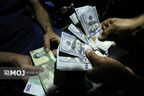 قیمت ارز امروز ۱۹ آبان ۱۴۰۳ در بازار تهران مشخص شد