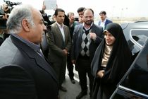 ورود رئیس سازمان میراث فرهنگی به بروجرد