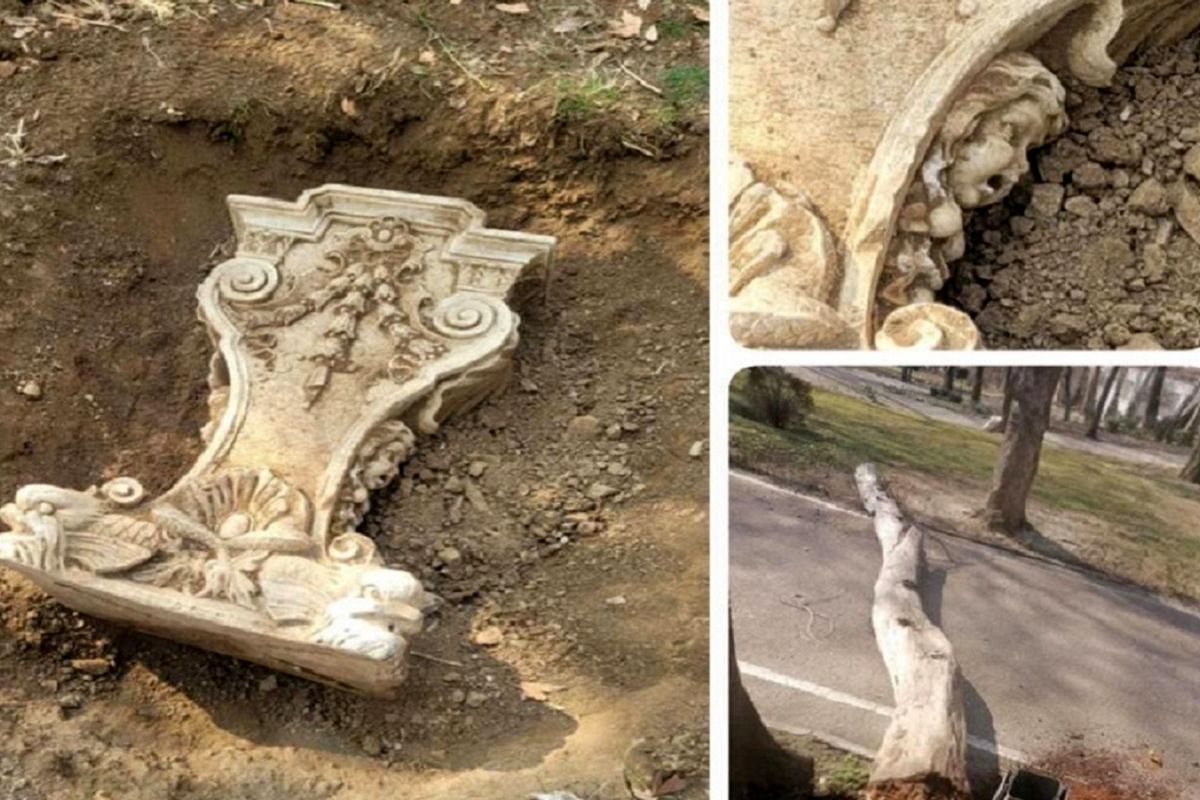 قطع درختان سعدآباد