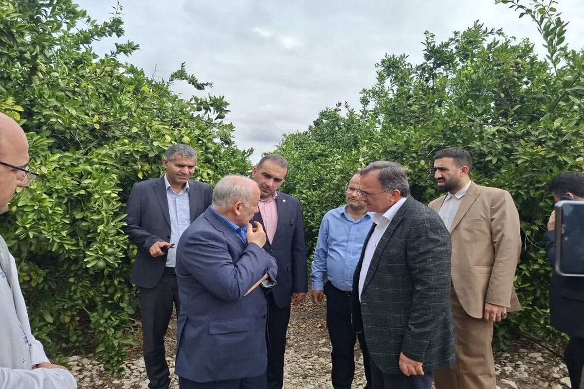 بازدید استاندار مازندران از دشت ناز