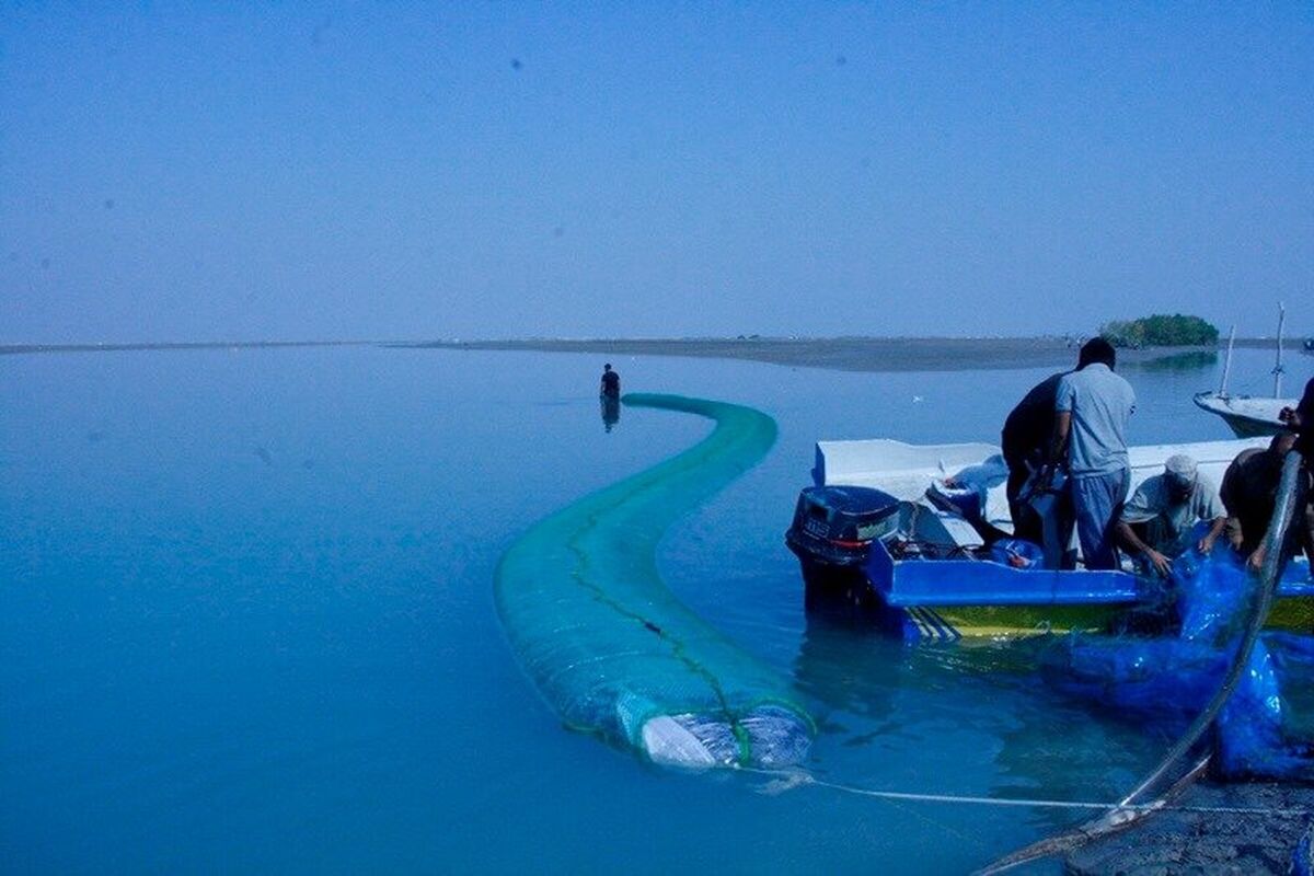 کشف مشک ماری در بندرعباس