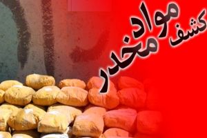 باند بین المللی قاچاق مواد مخدر در هرمزگان متلاشی شد