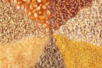 خراسان رضوی سالانه هفت میلیون تن خوراک دام، طیور و آبزیان تولید می‌کند 