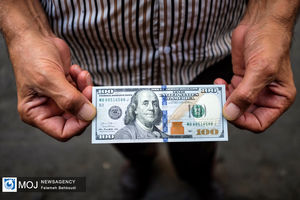 قیمت ارز امروز ۱۴ تیر ۱۴۰۳ در بازار تهران مشخص شد