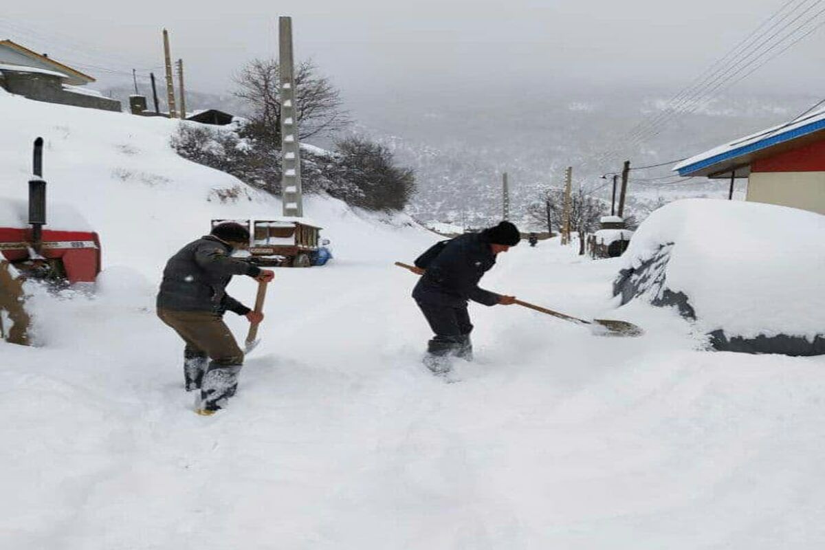 بارش برف در بخش کجور نوشهر