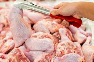 فروشنده مرغ گران‌فروش ۸۰۰ میلیون تومان جریمه شد