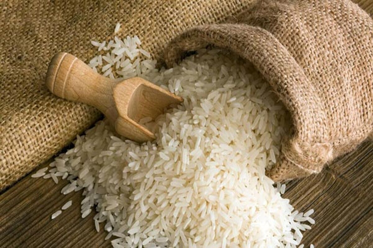 طرح سورتینگ