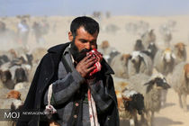 فرار از دست داعش با احشام‎