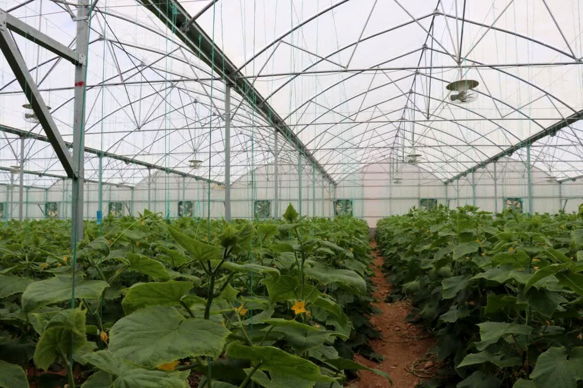 جهاد کشاورزی فارس 