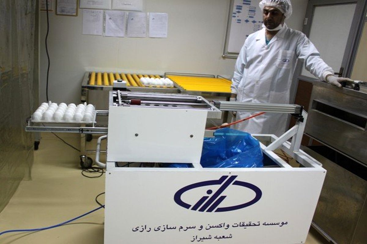 برش اتوماتیک تخم مرغ