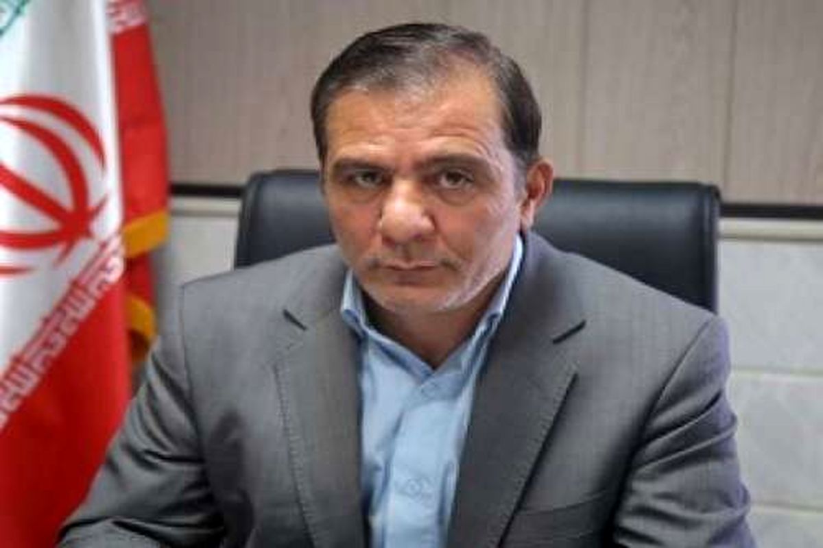 بهزاد رادمنش