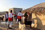 طرح نذر خدمت ۸