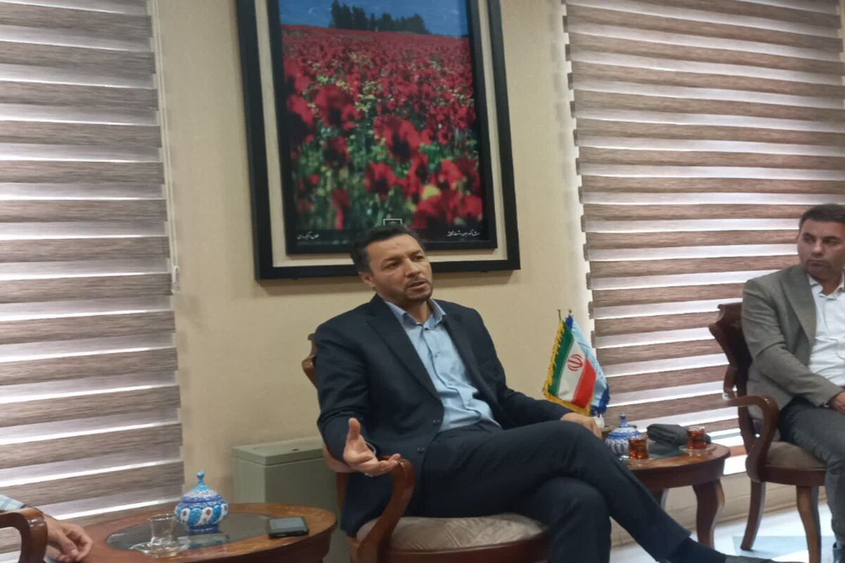 محمدی ادیب