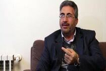 کاهش قیمت دلار و سایر ارزها نمی تواند سبب افت قیمت ها شود