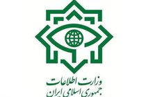 ارتباط همسر دوم نجفی با وزارت اطلاعات تکذیب شد