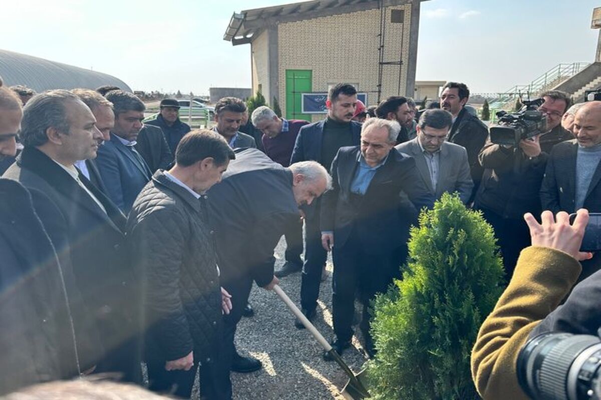 وزیر