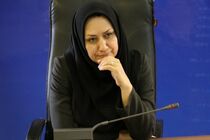 تاکنون حدود 700 کودک کار در لرستان شناسایی شده است