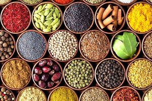 خام‌فروشی مانع اصلی ارزآوری گیاهان دارویی ایران است