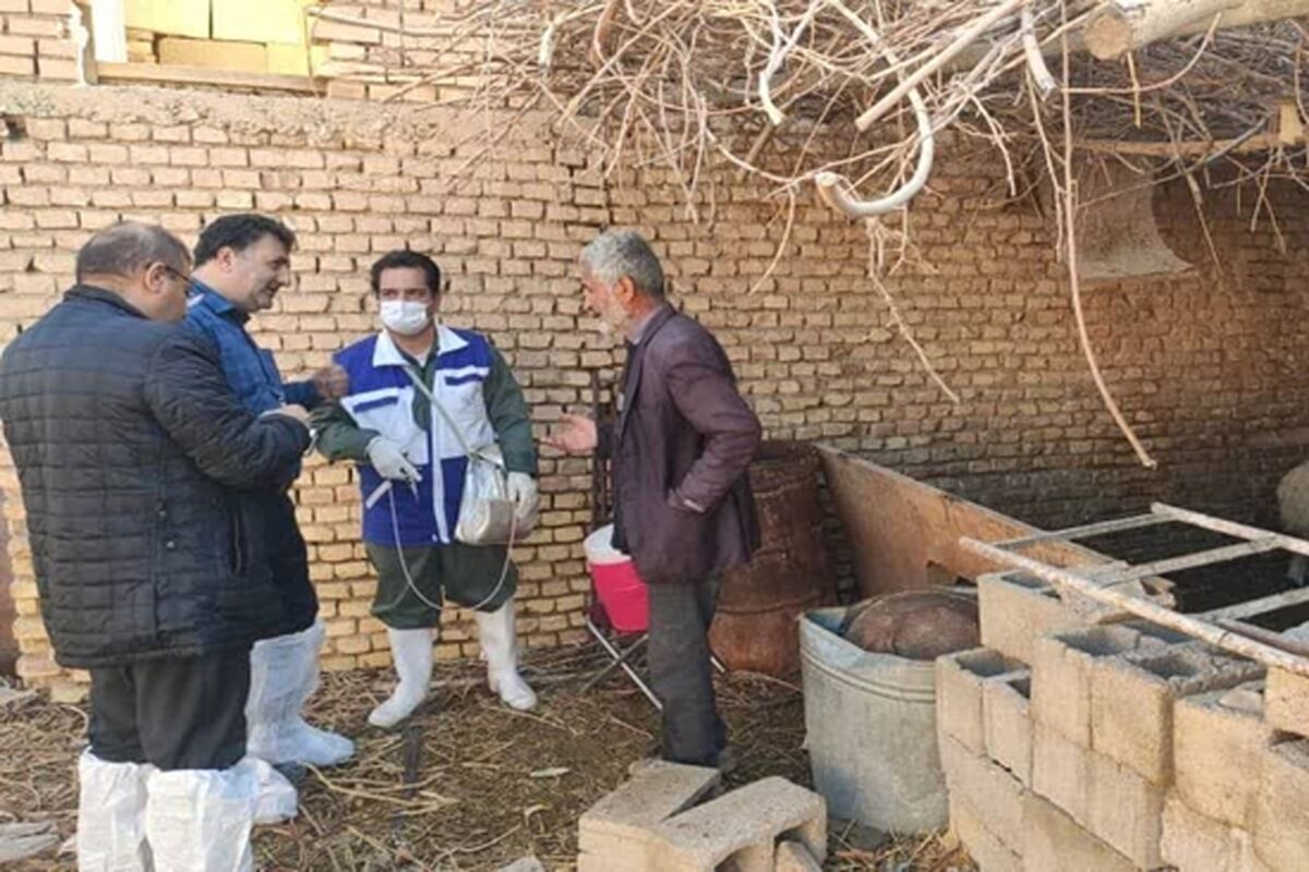دامپزشکی اصفهان