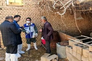 جلوگیری از شیوع بیماری های دامی رسالت سازمان دامپزشکی کشوراست