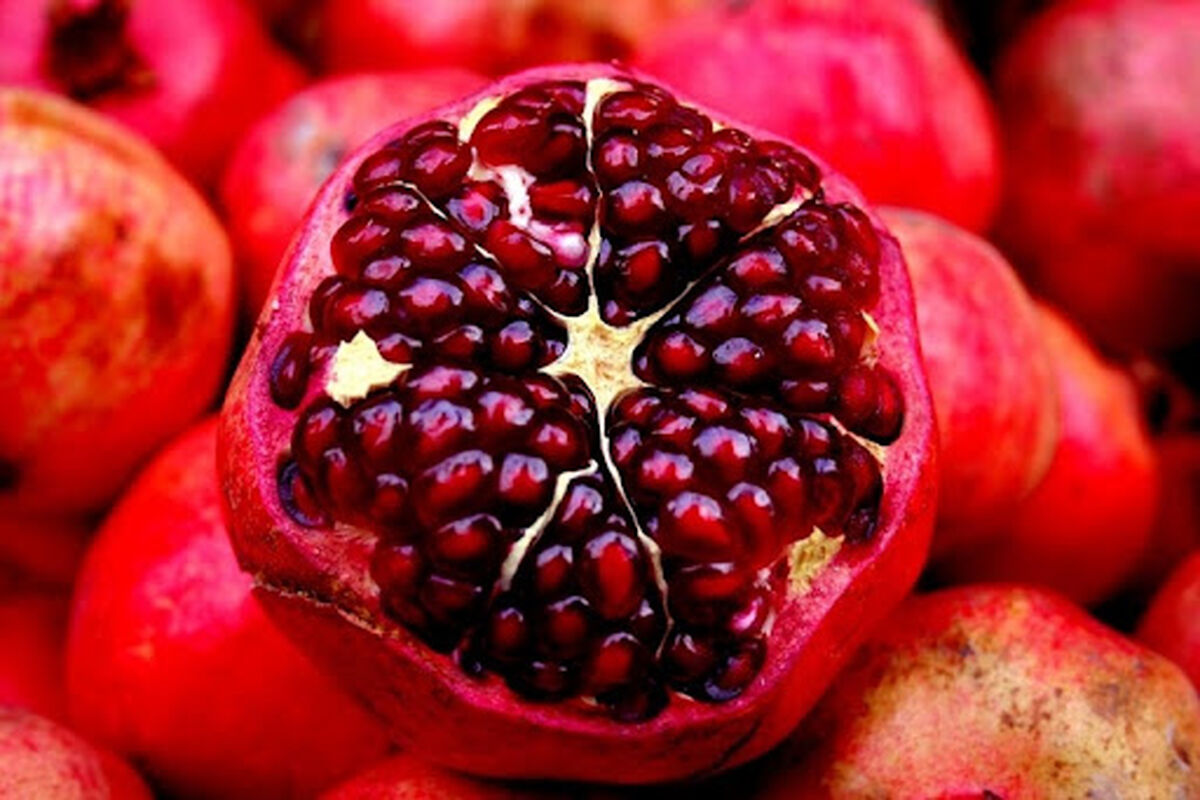 عرضه مستقیم انار